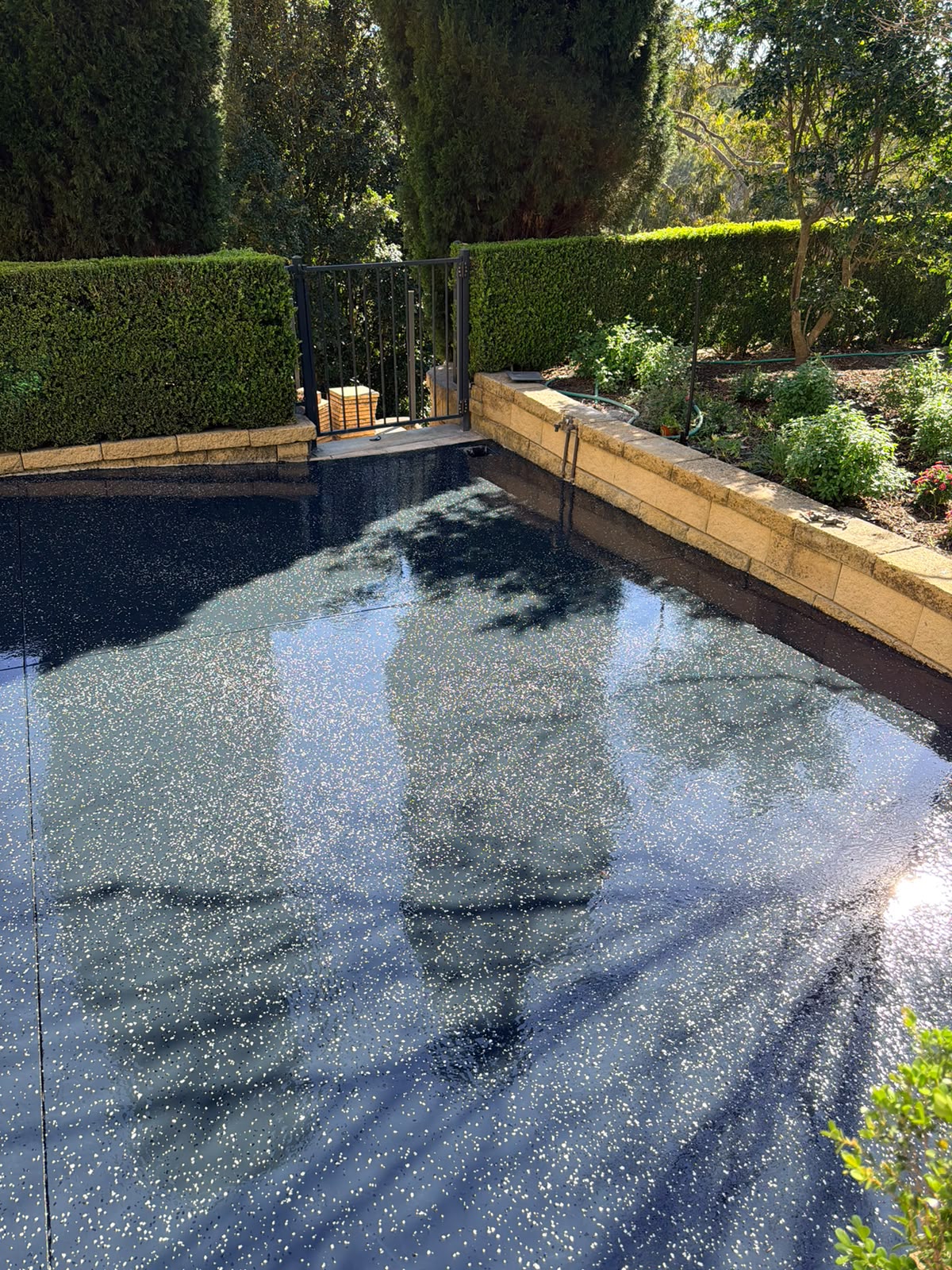 Sealed outdoor concrete beside a pool